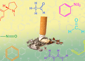 NicoZero blockiert die Empfindlichkeit der Rezeptoren, die nach Nikotin